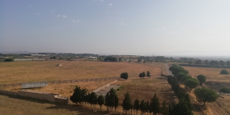 Dettagli